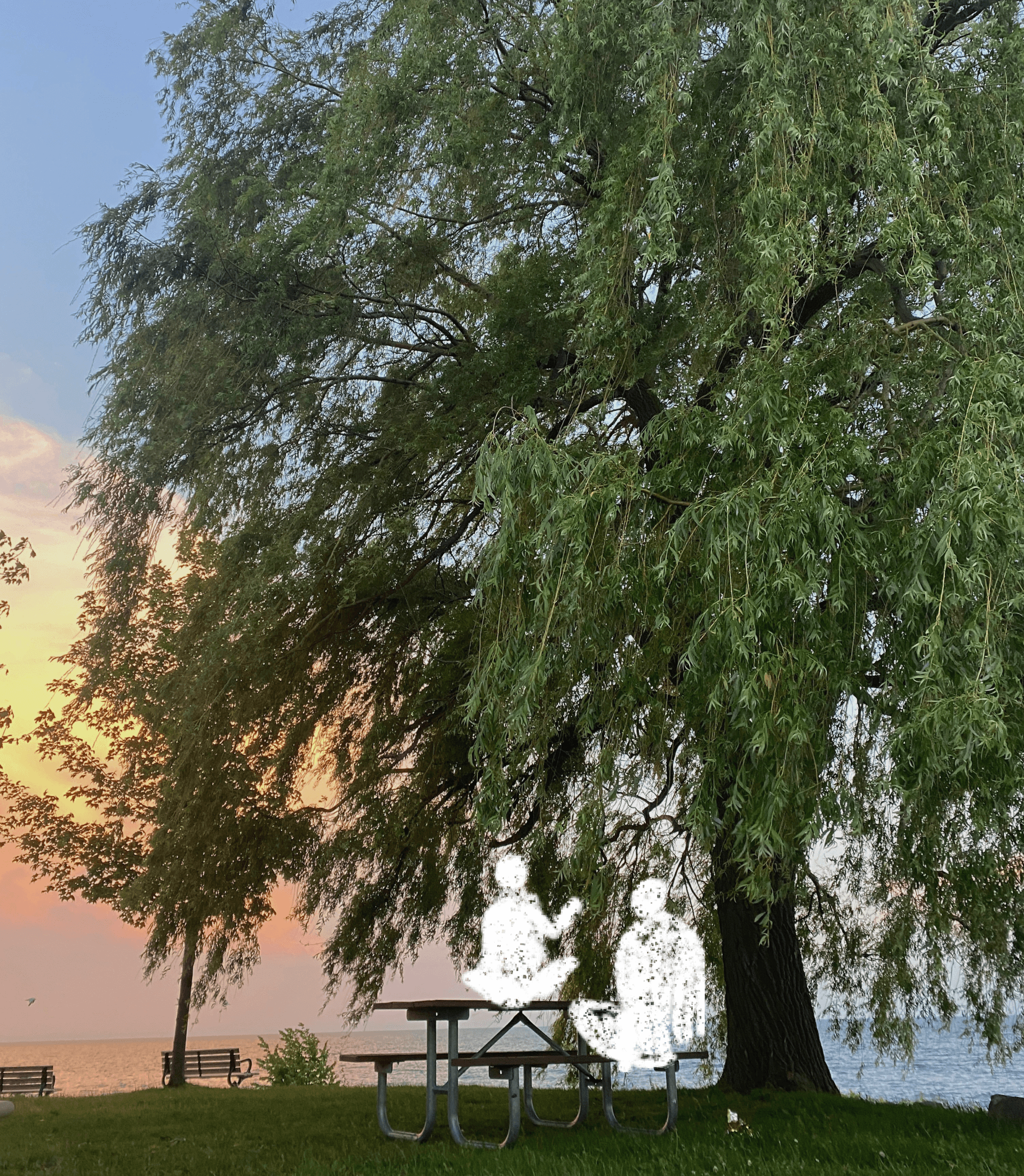 A sketch of 2 people sitting under a willow tree